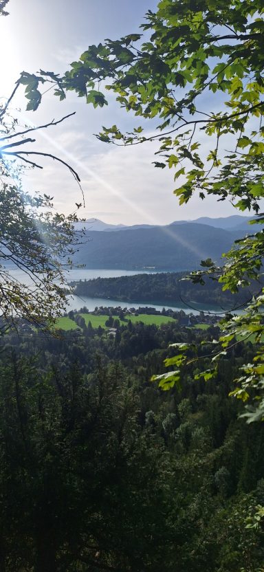 FeWo Waldeck Blick auf Walchensee